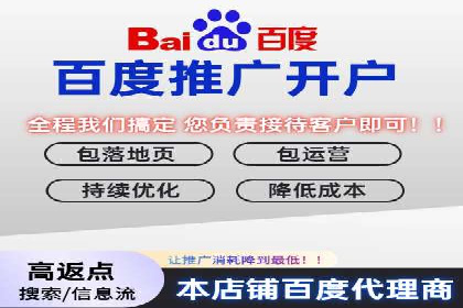 跨行业SEM广告投放的多样化案例分析